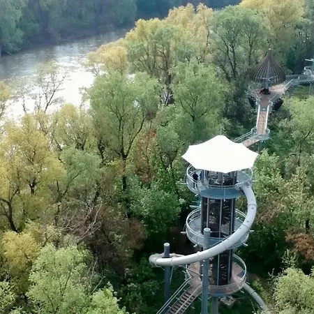 Central Apartman Mako Daire *