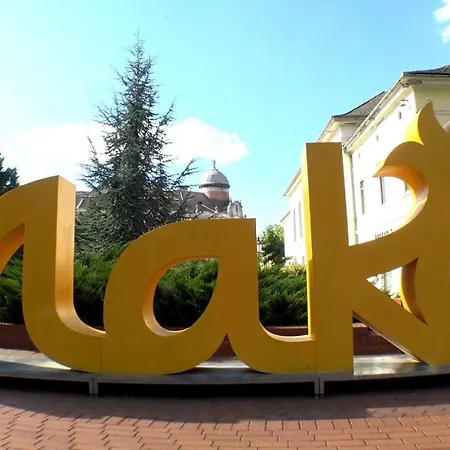 Central Apartman Mako *